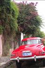 10 Colonia